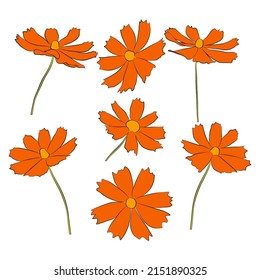 Set of cosmos flower branch vector simple illustration isolated on white background. Outline hand drawn colored version. Floral vector for childrens illustration, summer design.