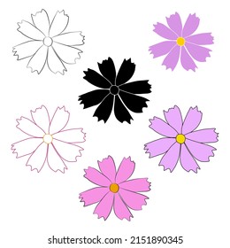 Set of cosmos flower branch vector simple illustration isolated on white background. Black outline hand drawn sketch and colored version. Floral vector for childrens illustration, summer design.