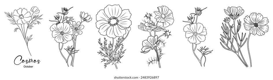 Set of Cosmos, October birth month flower outline drawings. Modern minimalist hand drawn floral design for logo, tattoo, packaging, cards. Line art vector clipart on white background.