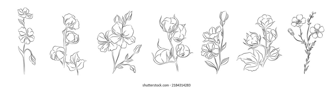 Set of Cotton and Flax flowers line art drawings. Editable line. Black and white monochrome art. Modern ink style sketch. Vector illustrations.