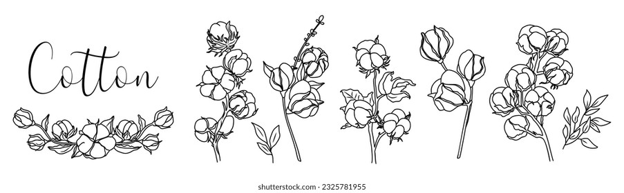 Set of cotton flower and branch monochrome drawings. Collection of different floral bud plants. Botanical trendy greenery vector illustration isolated on white background for logo, label, card design.