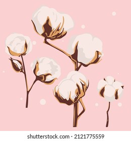Set of cotton flowers. Vector hand drawn botanical illustration. 