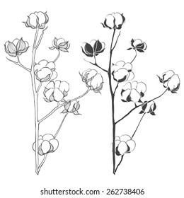 10+ Best For Pencil Cotton Plant Drawing | Creative Things Thursday