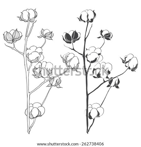 Set Cotton Isolated On White Background Stock Vector (Royalty Free