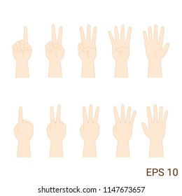 Set of counting hands sign from one to five isolated on white background. Front and back side. Body language.