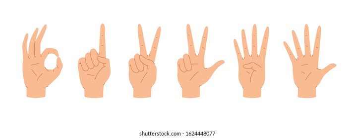 Set of counting hands signs zero, one, two, three, four, five. Communication gestures concept. Human fingers showing numbers from 0 to 5. Vector illustration isolated on white background. 