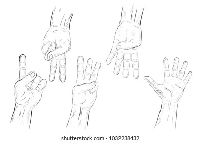 Set of Counting or Voting Hand, One to Five 