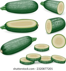 Set of Cousa or Kousa squash or Magda squash. Summer squash. Cucurbita moschata. Fruits and vegetables. Vector illustration isolated on white background.