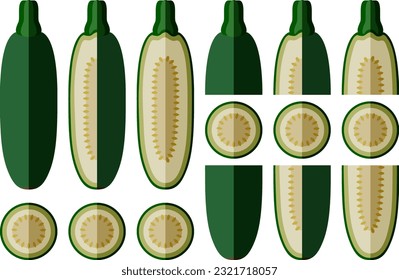 Set of Cousa or Kousa squash or Magda squash. Summer squash. Cucurbita moschata. Fruits and vegetables. Flat style. Vector illustration isolated on white background.