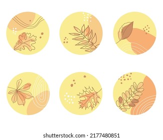 Set of cover stories for social media. Abstract minimalistic circle backgrounds with autumn leaves, dots, lines and spots. Pastel colors, vector illustration.