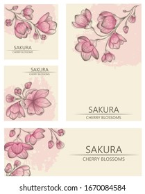 Un conjunto de portadas y galerías de símbolos para el diseño de postales, banners e invitaciones.Vector con una flor de cerezo retro en un fondo rosado. Ilustración en el estilo de grabado.