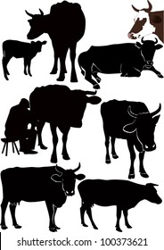 12,199 Cow Calf Silhouette Images, Stock Photos & Vectors 