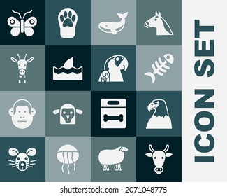Set Cow head, Eagle, Fish skeleton, Whale, Shark fin in ocean wave, Giraffe, Butterfly and Macaw parrot icon. Vector
