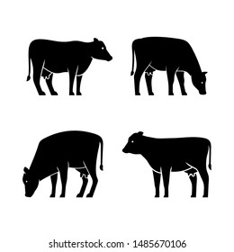Set of Cow logo. Icon design. Template elements