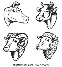 Set of cow and sheep heads on white background. Design element for logo, label, emblem, sign. Vector image