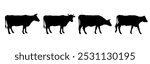 Set of cow silhouettes in different poses arranged in a row. Side view. Dairy cattle. Farm animals. Vector illustration isolated on white background