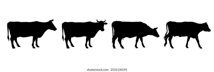 Conjunto de silhuetas de vaca em diferentes poses dispostas em uma linha. Vista lateral. Gado leiteiro. Animais de criação. Ilustração vetorial isolada no plano de fundo branco