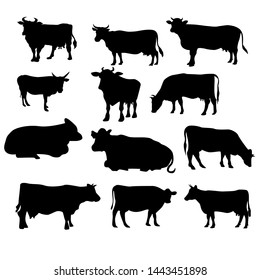 set of cow.cow silhouettes set isolated on white background vector