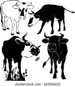 set of cow silhouettes isolated on white background