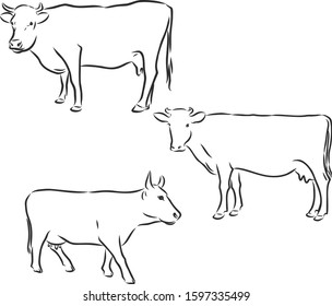 Set of cow, vector sketch 