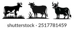 Set of cows. Black silhouette cow isolated on white background. Hand drawn vector illustration.