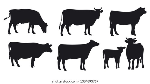 Набор коров. Черная корова силуэта изолирована на белом. Рисованная векторная иллюстрация.