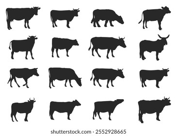 Conjunto de vacas. Vaca de silueta negra aislada en blanco. Ilustración vectorial dibujada a mano	