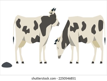 A set of cows with black spots. Vector cow illustration isolated on green background. Milk, dairy, farm product design element.