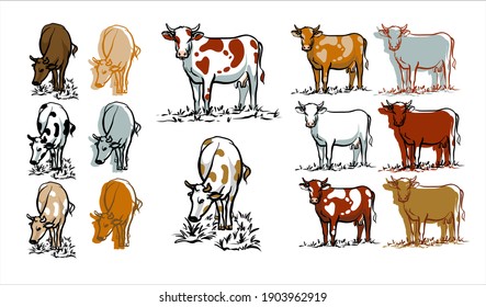 A set of cows. Color illustration of icons logos. Vector.