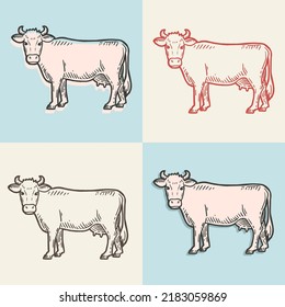 Set of cows. Farm animal. Hand drawn sketch. Vintage style. Color vector illustration.