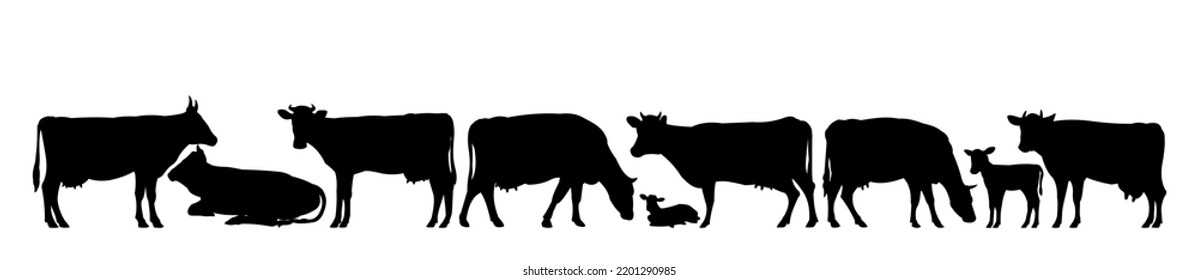 Set of Cows grazing. Picture black silhouette. Farm pets. Animals for milk and dairy products. Isolated on white background. Vector