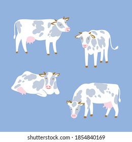 A set of cows isolated on the blue background. Simple animal illustration. Farming design. New Year Symbol.