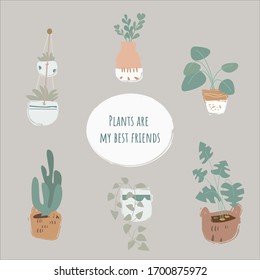 Set of cozy plants for your home.
