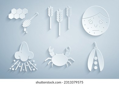 Set Crab, Face with psoriasis or eczema, Runny nose, Kidney beans, Wheat and Honeycomb honey dipper icon. Vector