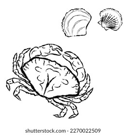 Set of crab and shells, contour