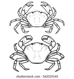 Set Crabs Icons Isolated On White Stock Vector (Royalty Free) 563319145 ...