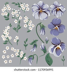 Set for creating floral frame with viola flowers