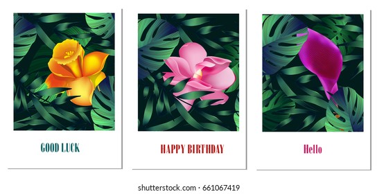 Set of creative cards with colorful tropical leaves for Banner, Poster, Invitation, Brochure, Flyer etc.