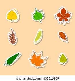 Set of creative leaves with strokes. Vector illustration. Leaf icons stickers for autumn modern design