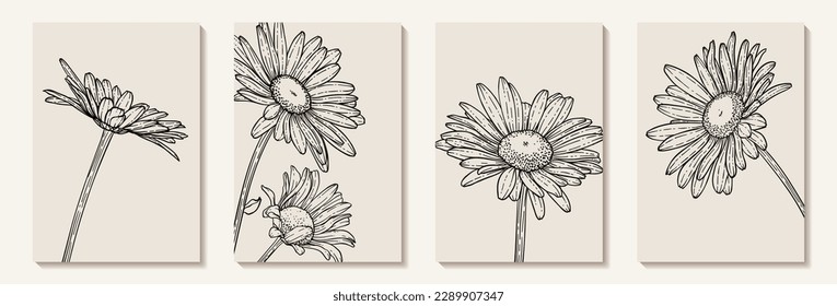 Set of creative minimalist hand draw illustrations floral outline daisy pastel biege simple shape for wall decoration, postcard or brochure cover design