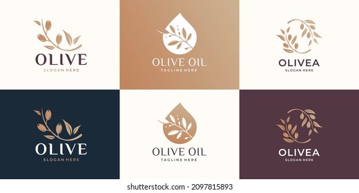 set of creative olive logo template. olive oil, essential olive oil, feminine beauty, fashion store.