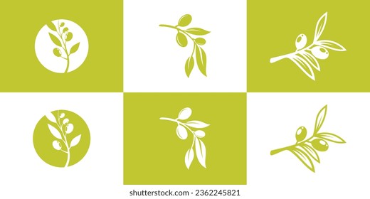 conjunto de plantillas de logotipo de oliva creativa. aceite de oliva, aceite de oliva esencial, belleza femenina, tienda de moda Premium Vector