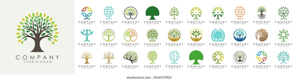 set of creative tree logo design. Green Garden Vector Logo Template. vector illustration