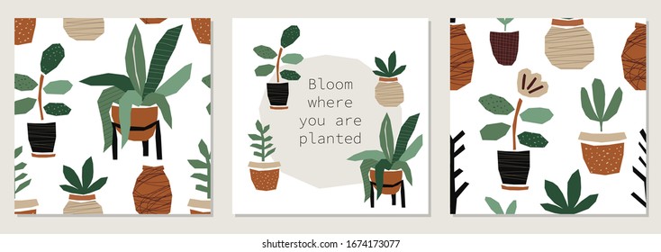 Set of creative trendy abstract paper cut out collage backgrounds with plants in pots in minimal flat style ideal for social media templates, neutral colors