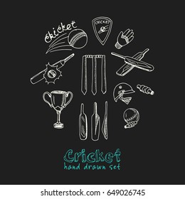 Set with Cricket elements. Vector isolated Illustration on white background for packages product and other design