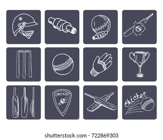 Set with Cricket elements. Vector isolated Illustration on white background for packages product and other design