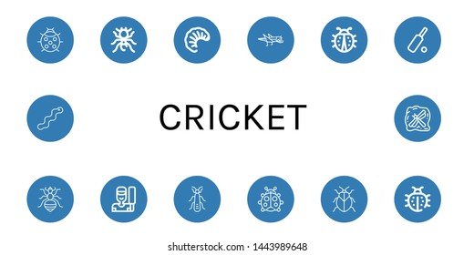 Set of cricket icons such as Ladybug, Pheidole, Larva, Grasshopper, Cricket, Louse, Stonefly, Stink bug, Worm, Insect , cricket