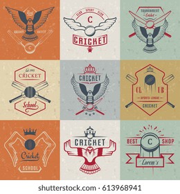Set of cricket team emblem design elements. Vector sign and logo sport game.