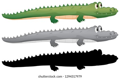 Set of crocodile character illustration