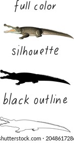 Set of crocodile in color, silhouette and black outline on white background illustration